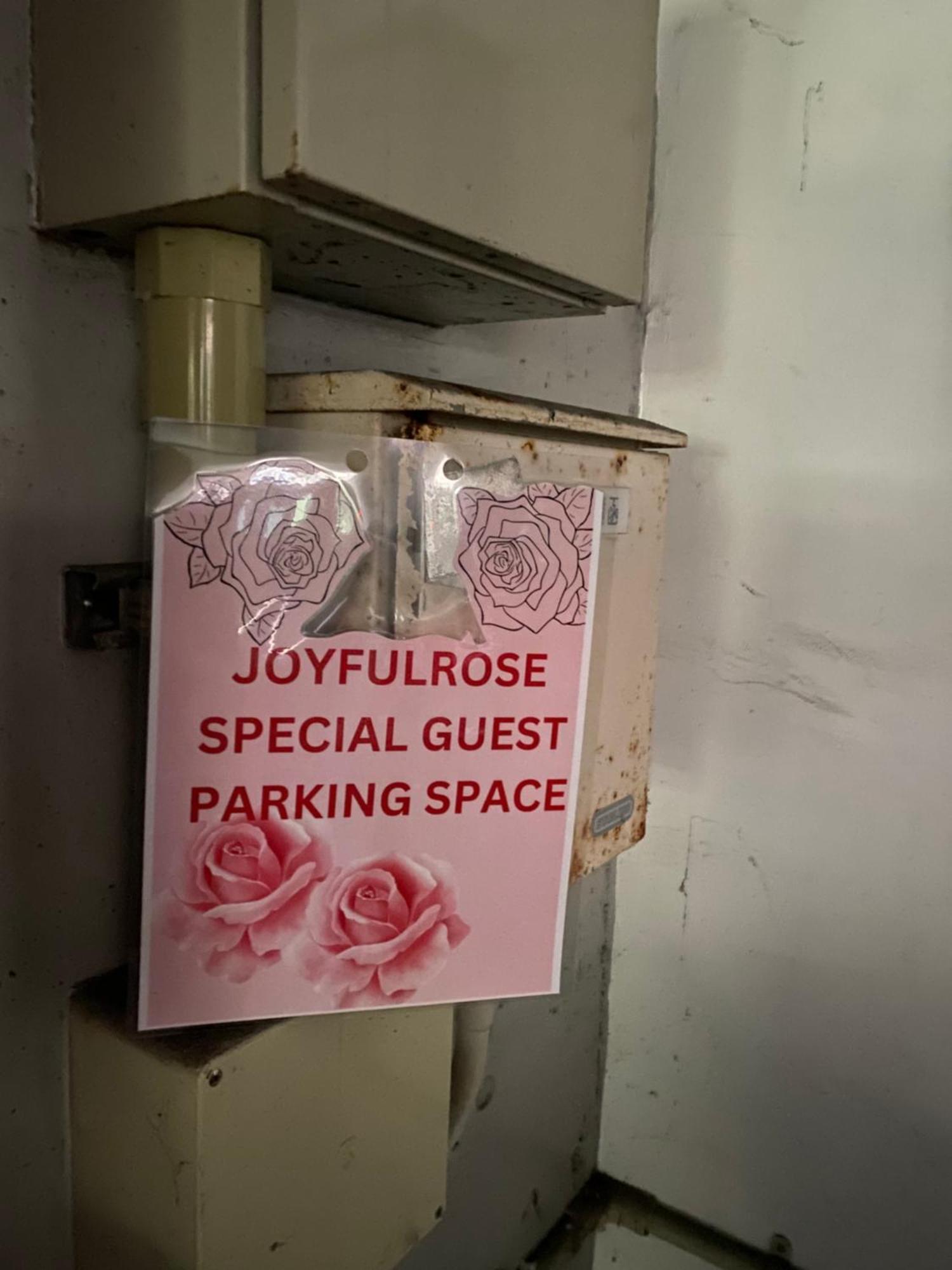 Joyful Rose